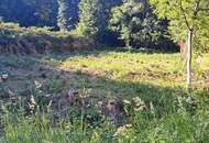"Baugrund in bester Lage"