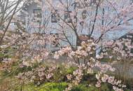 Großzügiges Haus neben Traunsee mit Badeplatz