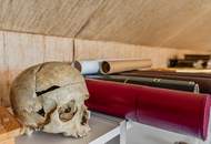 Wo Träume Wurzeln schlagen: Ein herrschaftliches Hideaway im Weinviertel