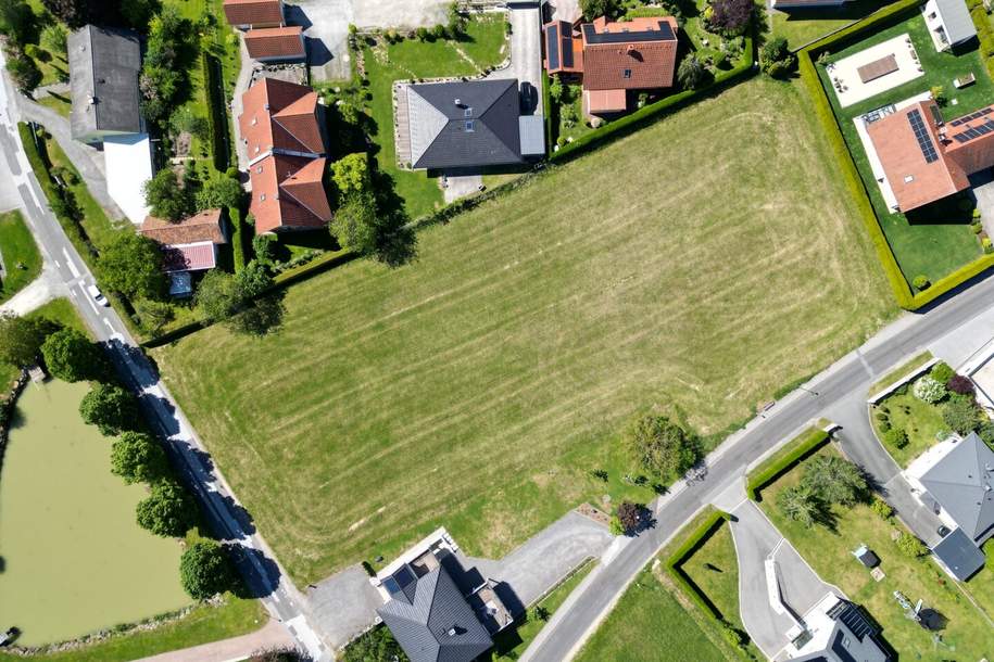 Wagnerberg Vibes - ein wunderschönes 3220m² Baugrundstück mit Gefühl und Format!, Grund und Boden-kauf, 395.000,€, 8271 Hartberg-Fürstenfeld