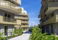 Hirschfeld - Ihr neues Zuhause im Grünen - anfragen, besichtigen, einziehen - 41 bis 96 m²