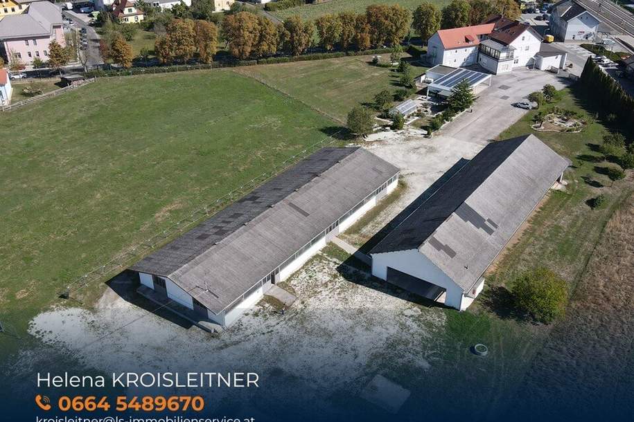 Büro- und Gewerbefläche mit 520 m² Nutzfläche in Hartberg zu vermieten, Gewerbeobjekt-miete, 8230 Hartberg-Fürstenfeld