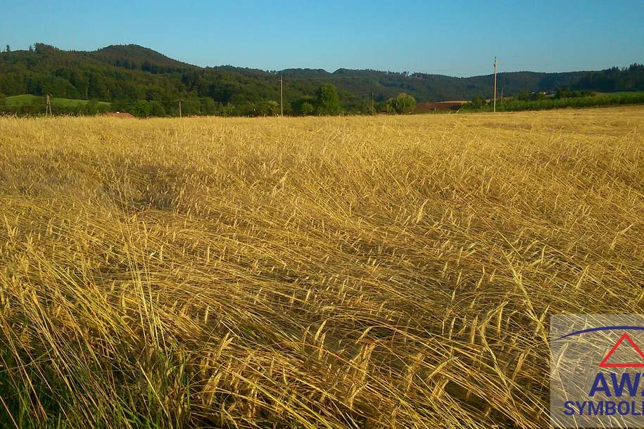 Ca. 7 ha Ackerland mit Waldanteil in Pergern / Steyr, Grund und Boden-kauf, 4451 Steyr(Stadt)