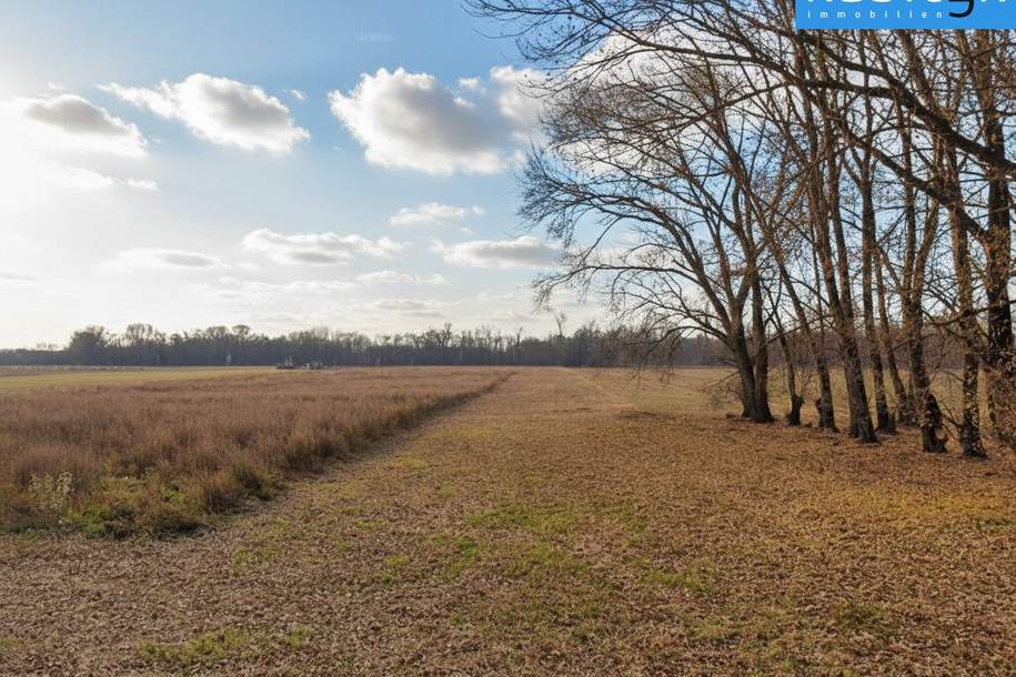 20.344 m² Land- und Forstwirtschaft (Sww), Grund und Boden-kauf, 610.320,€, 1220 Wien 22., Donaustadt