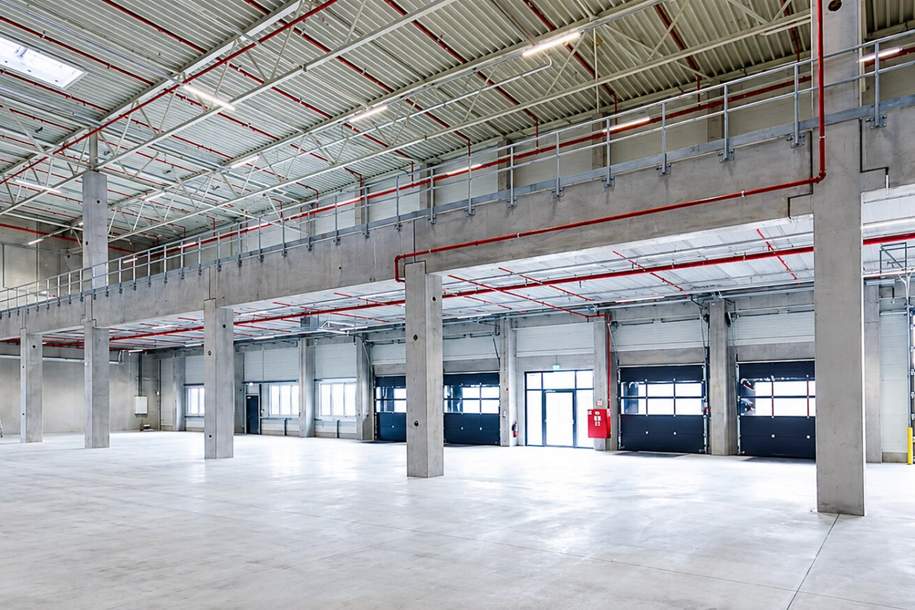 Kombination Lager 3579 m2 inklusive Büro 230 m2 südlich von Wien, Gewerbeobjekt-miete, 25.053,00,€, 2542 Baden
