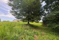 Idyllisches Grundstück am Ende einer Sackgasse – sonniger Bauplatz mit eigenem Wald