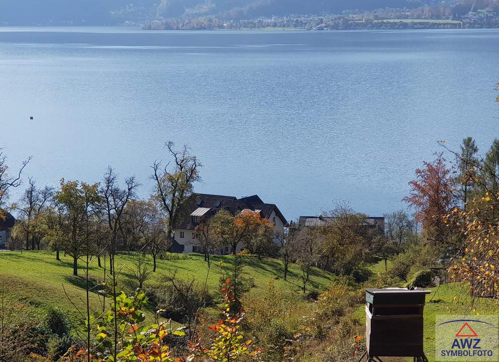 Tolles Haus mit Ausblick ins Donautal!