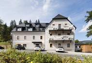 Terassenwohnung im Haunesteinhof
