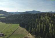 SANIERUNG 2025: Geräumiges Einfamilienhaus mit angeschlossener Kleinlandwirtschaft (Neben- und Stallgebäude) mit ca. 2.700 m² Grund