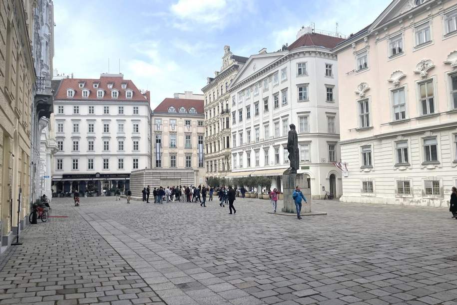 Wohnen in der Altstadt von Wien - beim Judenplatz, Wohnung-kauf, 549.000,€, 1010 Wien 1., Innere Stadt