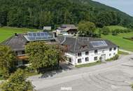 "Hof zur Steinwänd" Gasthof und Bauernhof mit Fremdenzimmern - Wald und Wiesen mit herrlichen Naturplätzen!