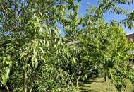 Geräumiges Eigenheim mit Garten und Nebengebäude zu kaufen