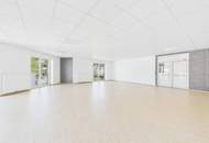 STEYREGG: BÜRO- PRAXIS-THERAPIE-ORDINATIONSFLÄCHE ca. 242 m² + BALKONFLÄCHE in zentraler Lage
