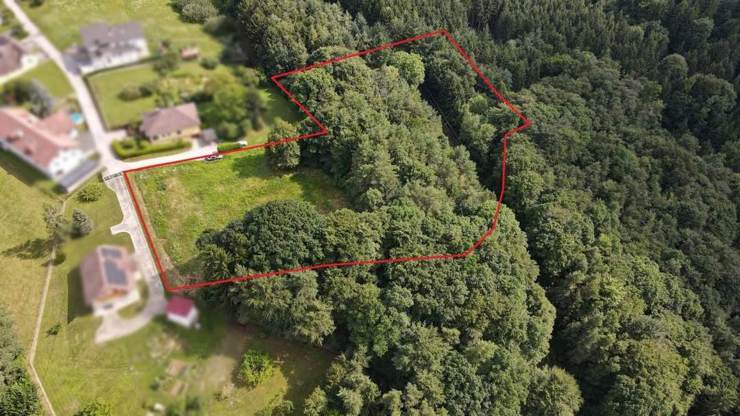 Idyllisches Grundstück am Ende einer Sackgasse – sonniger Bauplatz mit eigenem Wald