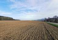 16 ha Landwirtschaft mit Mostviertler Vierkanthof