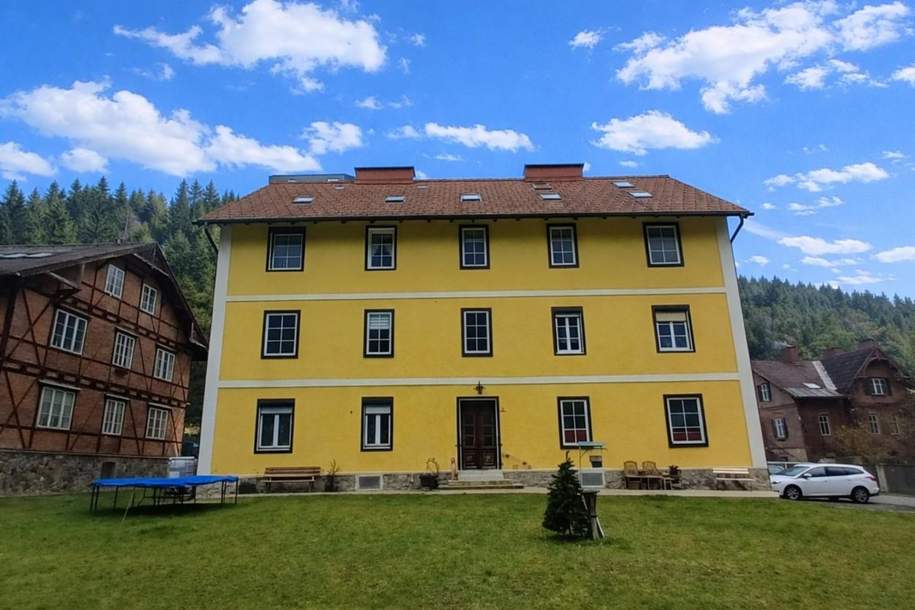 Solide 2-Zimmer-Wohnung mit Garage in Großveitsch, Wohnung-kauf, 54.900,€, 8662 Bruck-Mürzzuschlag