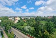 Blick über die Dächer von Döbling! Schöne 4 Zimmer Wohnung mit Rundumterrasse! Garagenplatz im EIgentum!