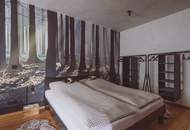Zwei Bergchalets mit 4 Apartments in Hinterstoder