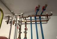 Ein Zuhause mit Raum, Substanz und Gartenidylle nahe Wien | ZELLMANN IMMOBILIEN