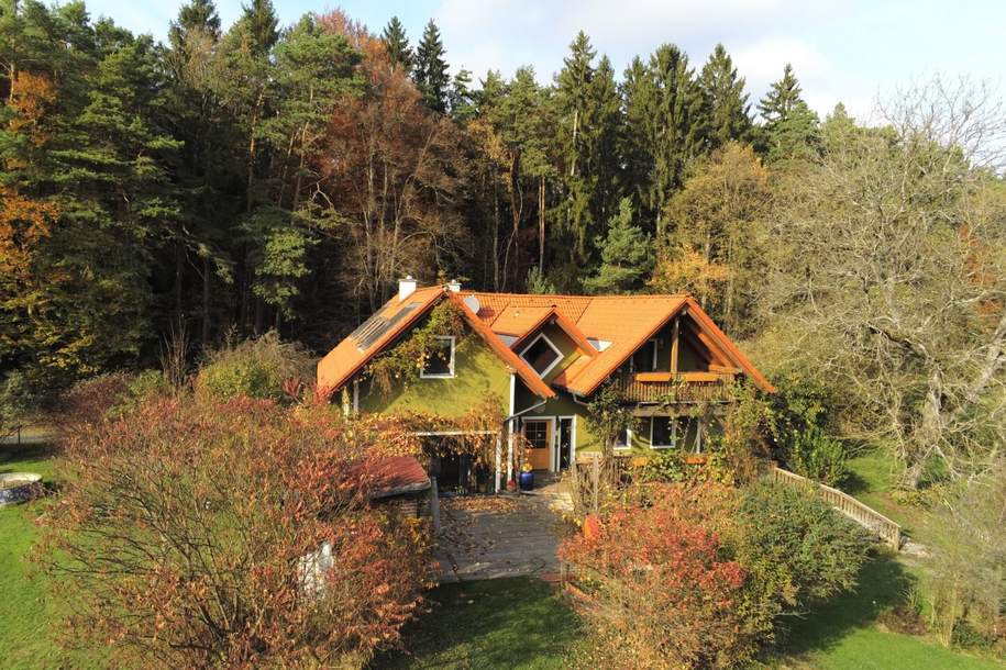 Großzügiges Einfamilienhaus in idyllischer Ruhe/- Alleinlage, Haus-kauf, 790.000,€, 8263 Hartberg-Fürstenfeld