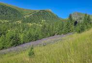 ALM-CHALET 6 - Freizeitwohnsitz in Toplage