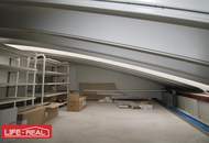 Vielseitiges Gewerbeareal mit Hallen, Büros und Außenflächen in Top-Lage – Taufkirchen/Trattnach