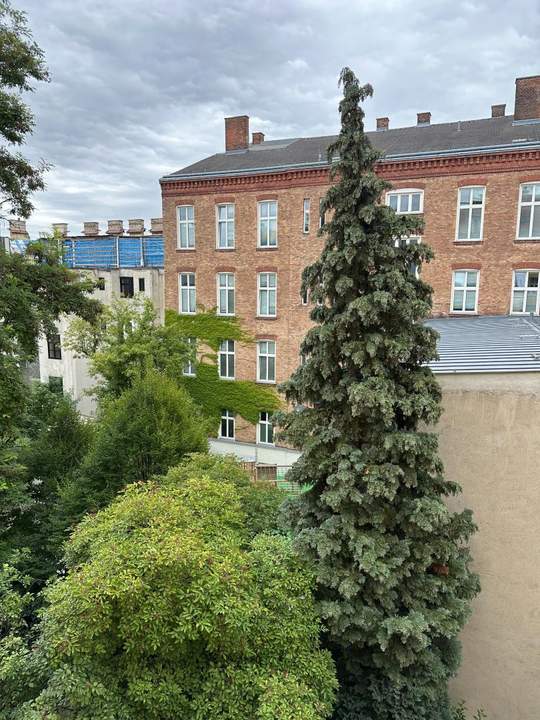 kleine 1-Zimmer Altbauwohnung mit Sanierungsbedarf