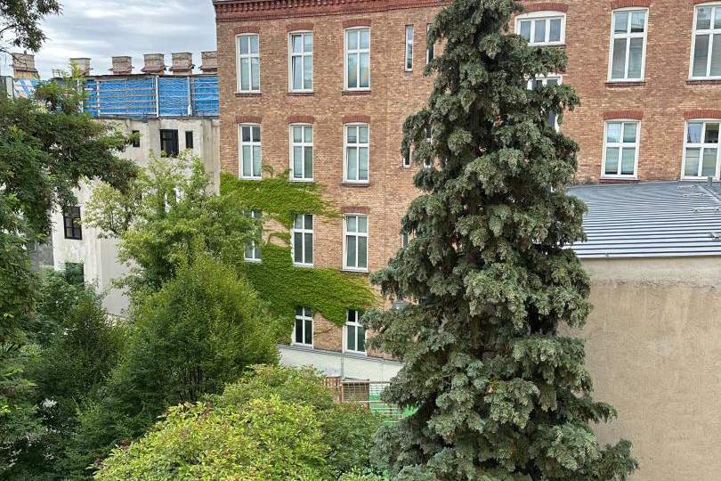 kleine 1-Zimmer Altbauwohnung mit Sanierungsbedarf, Wohnung-kauf, 99.000,€, 1170 Wien 17., Hernals