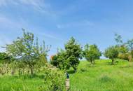 2 ERSCHLOSSSENE BAUGRÜNDE MIT OBSTBAUM-BESTAND UND WEINREBEN IM VULKANLAND DER SÜDOSTSTEIERMARK