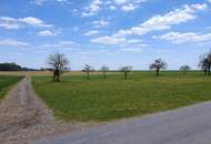 Liegenschaft mit ca. 20 ha landwirtschaftliche Nutzflächen