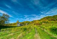 Exklusives Traumhaus zur Miete mit Panoramablick auf die Weinberge