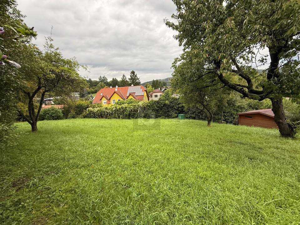 HERRLICH MIT BERG- UND WALDBLICK