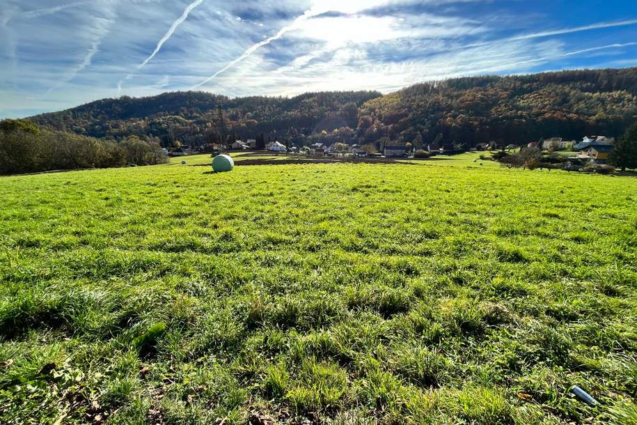 NEUER PREIS! Freilandgrundstück mit großem Potential für langfristiges Investment in Graz!, Grund und Boden-kauf, 967.878,€, 8054 Graz(Stadt)