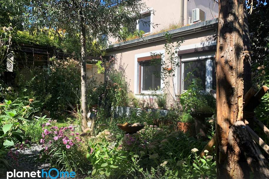 Charmantes Einfamilienhaus mit gemütlicher Atmosphäre, Haus-kauf, 250.000,€, 2751 Wiener Neustadt(Land)