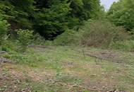 Rarität - Baugrundstück im Wald - keine Nachbarn