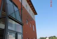 Über Ihnen die Sterne