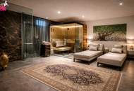 Möbliertes Designer-Doppelhaus mit Spa & Pool nahe Wien