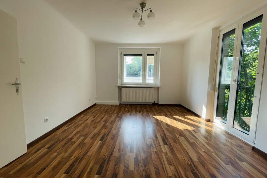 2-Zimmer Wohnung mit Loggia, Wohnung-miete, 685,00,€, 2500 Baden