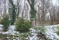 Ein Juwel erwartet Sie; Und das nur 20 Autominuten von Wien entfernt!