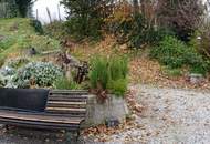 Traumhafte Gastroliegenschaft in der Wachau am Fuße einer Ruine***Donauterrasse***perfekt für Edelgastronomie oder Gourmettempel