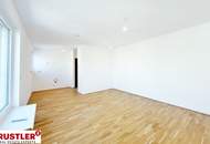 Ein Blick über die Dächer von Wien. 2 Zimmerwohnung mit Terrasse
