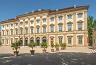 **NEU** Porzellangasse, Altbau-Büro in Toplage im Servitenviertel, 3-Zimmer (getrennt begehbar)