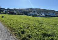 Baugrundstücke in der Hofwiese - Schlierbach