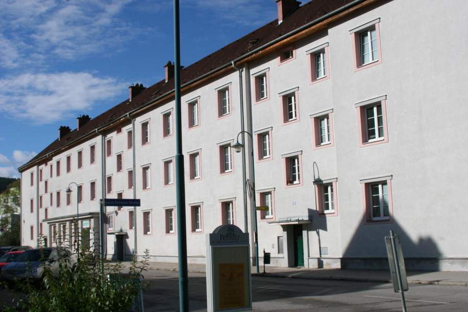 Schöne sanierte 3 - Zimmer Wohnung im 3. OG, Wohnung-miete, 385,48,€, 2763 Wiener Neustadt(Land)