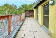 Dachgeschoß-Wohnung mit Terrasse an der Liesing
