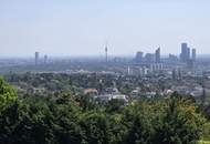 Wunderschönes Penthouse mit Pool und prachtvollem Blick, Nähe Kahlenberg