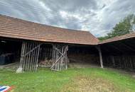 Dreikanthof mit viel Potential