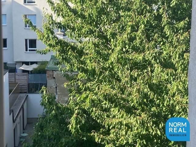 Erstbezug: Altbau ruhig