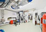 Einzigartiges Landgut im Waldviertel – 70.010 m² mit Wohnhaus, Ferienwohnungen &amp; Alpaka/Yak-Zucht