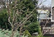 Haus mit Platz und Garten